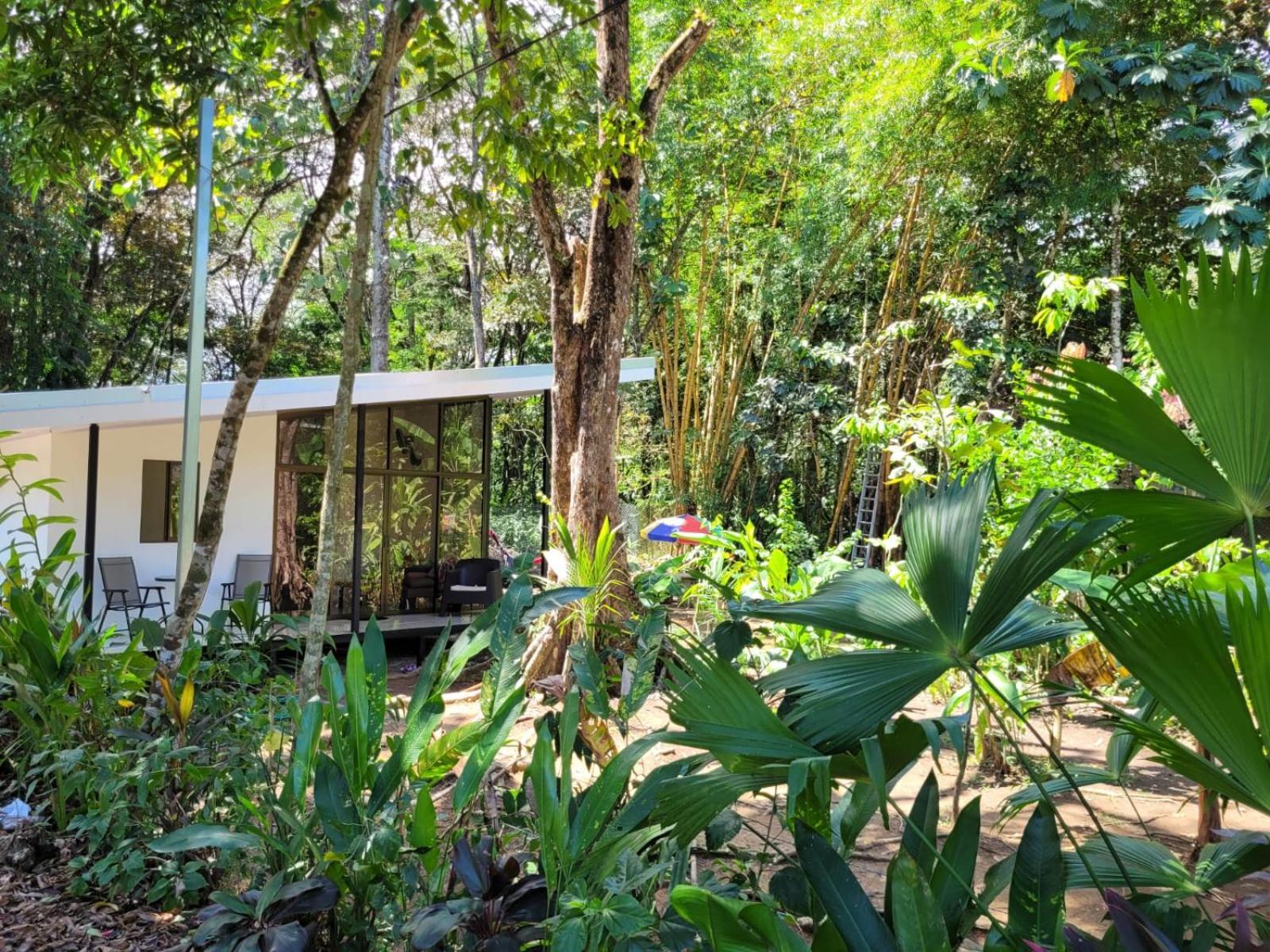 Luba House Villa Puerto Jimenez Exterior photo